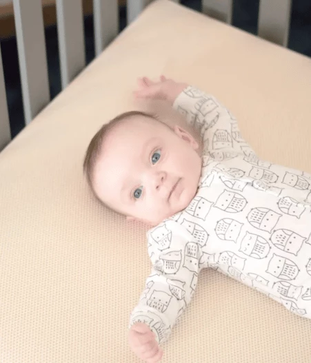 Naturepedic Organic Baby Crib Mattress